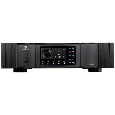 TY-i2PRO digital music player